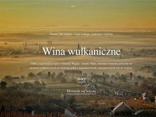 Podgląd https://slowine24.pl/