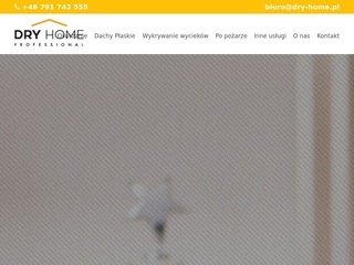 Podgląd https://www.dry-home.pl