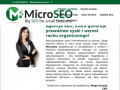 Podgląd https://microseo.pl