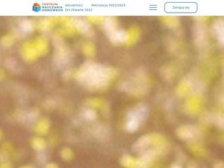 Podgląd https://domowi.edu.pl/