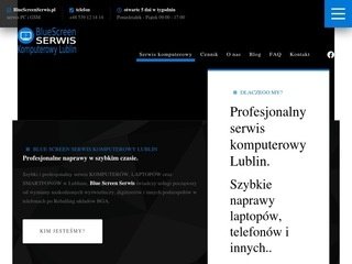 Podgląd https://bluescreenserwis.pl