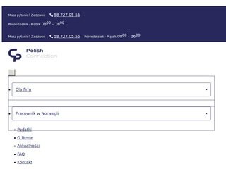 Podgląd https://polishconnection.no/
