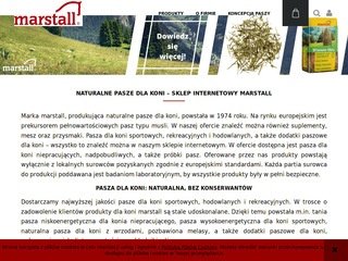 Podgląd https://marstall.pl/