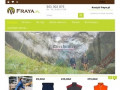 Podgląd https://fraya.pl