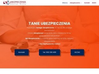 Podgląd https://sm-ubezpieczenia.pl/