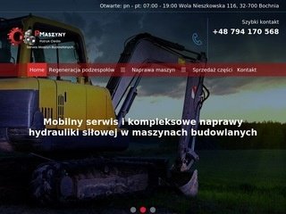 Miniaturka https://pmaszyny.pl/