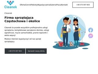 Miniaturka https://cleanek.pl/