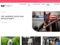 Podgląd https://zpsiegopunktuwidzenia.pl/