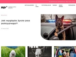 Podgląd https://zpsiegopunktuwidzenia.pl/