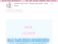 Podgląd https://www.shoplili.pl/