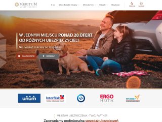 Podgląd https://meritumubezpieczenia.eu/