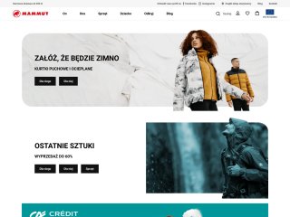 Podgląd https://mmtsklep.pl