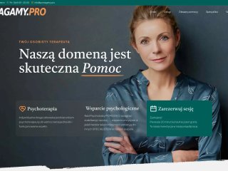 Podgląd https://pomagamy.pro/