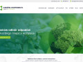 Podgląd https://zamow-kontener.pl/