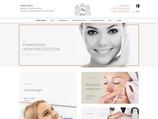 Podgląd https://praxident.pl/