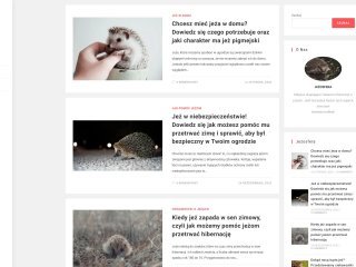 Podgląd https://www.xn--jeosfera-43b.pl/