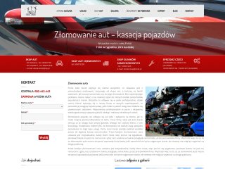 Podgląd https://www.auto-kurek.pl/