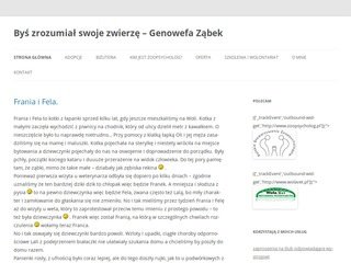 Podgląd euronoclegi.pl