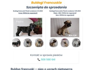Podgląd https://buldogi-francuskie.pl/