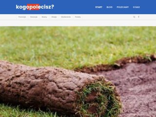 Miniaturka kogopolecisz.pl