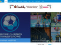 Podgląd https://sportowasilesia.pl