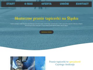 Miniaturka https://czystyandrzej.pl