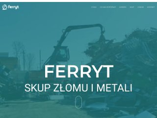 Podgląd https://www.ferryt.opole.pl/