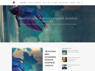 Podgląd https://www.ahouse.pl/