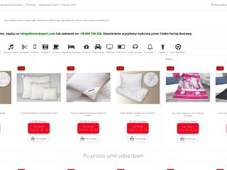 Podgląd https://www.domekspert.com