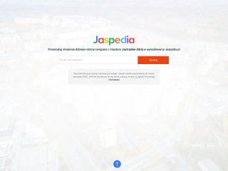 Podgląd https://jaspedia.pl