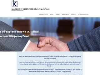 Podgląd https://www.dobrzyagenci.pl/