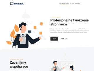 Podgląd https://radex-stronywww.tm.pl/