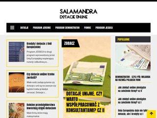 Podgląd salamandra.com.pl