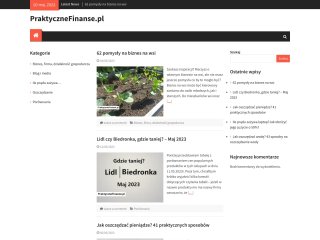 Podgląd https://praktycznefinanse.pl/
