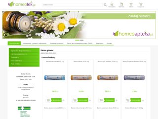 Podgląd https://homeolek.pl/index.html