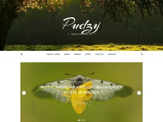 Podgląd https://pudzy.pl/