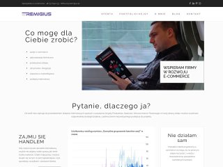Podgląd https://remigius.pl