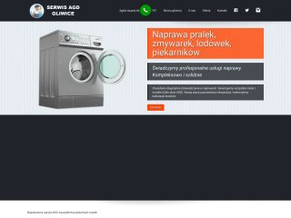 Podgląd naprawapralekgliwice.pl