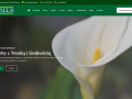 Podgląd https://www.kalla.slupsk.pl/