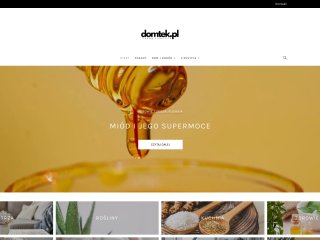 Podgląd https://domtek.pl