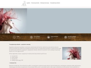 Podgląd https://przeszczep-wlosow.pl/