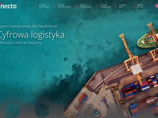 Podgląd https://necto.eu/