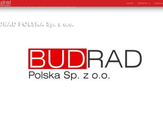 Podgląd https://budrad.com.pl/