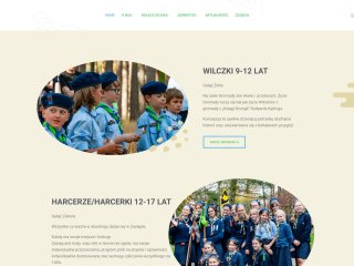 Podgląd https://www.skauci-pomorze.pl/