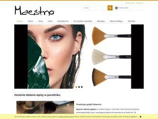 Podgląd https://maestrobrush.pl/