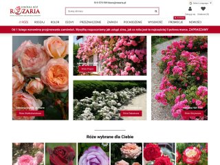 Miniaturka https://rozaria.pl/