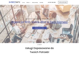 Podgląd https://seowy.pl/