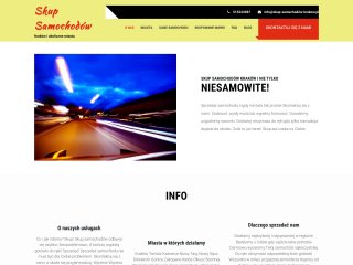 Podgląd https://skup-samochodow-krakow.pl