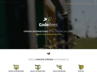 Podgląd codebees.pl