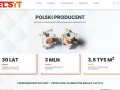Podgląd https://elsit.pl/